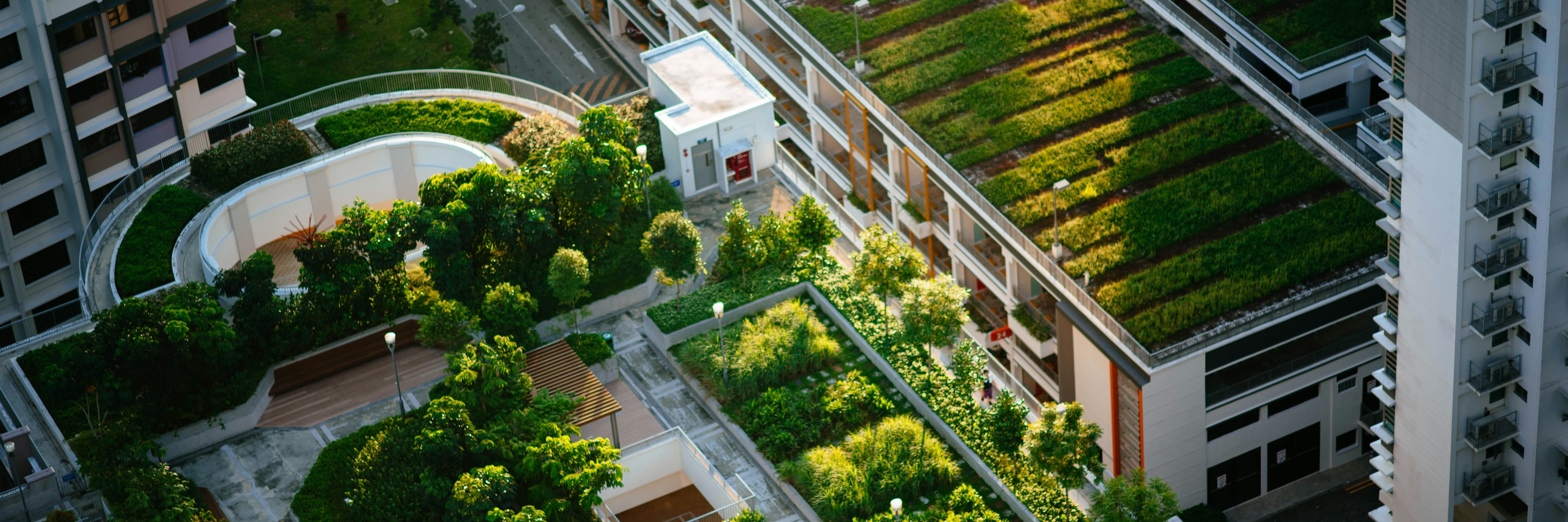 Green Residential Area